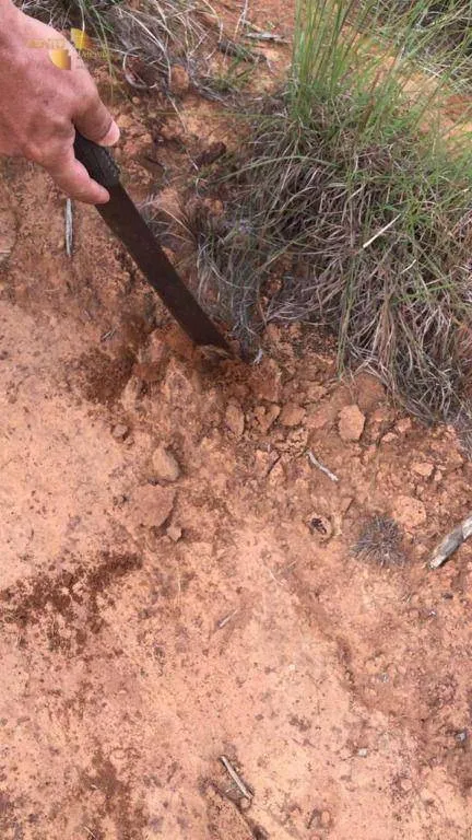 Fazenda à venda de 5.995 ha em Sinop, MT, Brasil