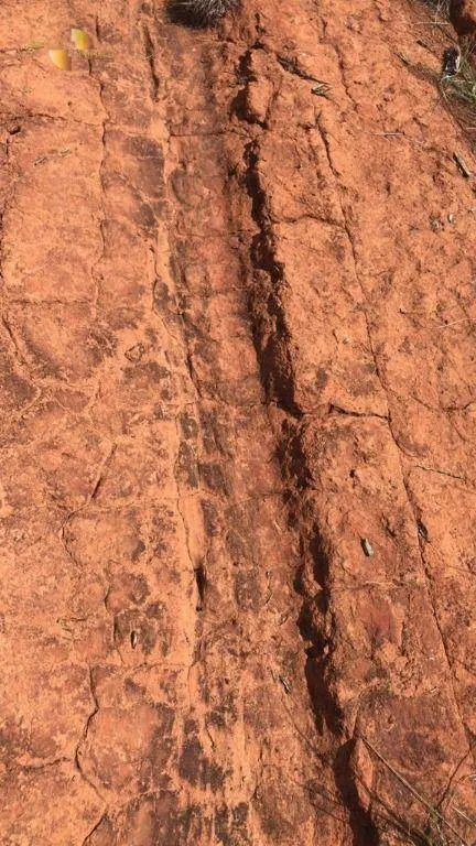 Fazenda à venda de 5.995 ha em Sinop, MT, Brasil