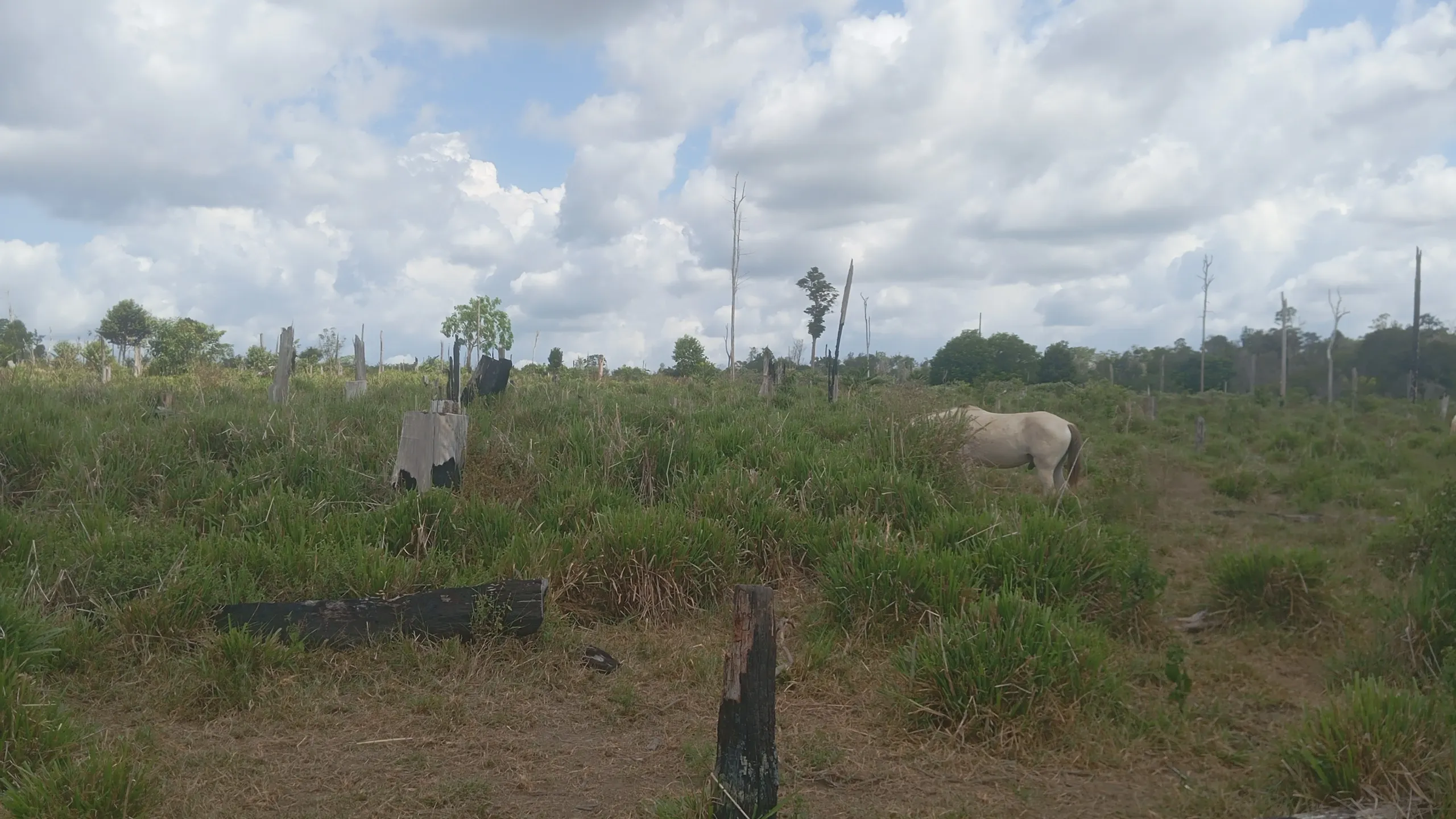 Fazenda à venda de 190 ha em Pacajá, PA, Brasil