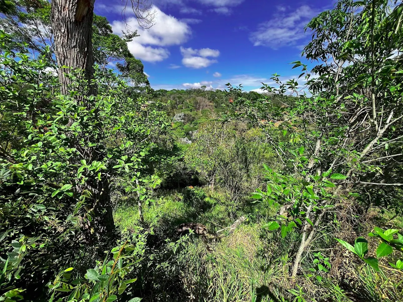 Chácara à venda de 4.856 m² em São José dos Campos, SP, Brasil