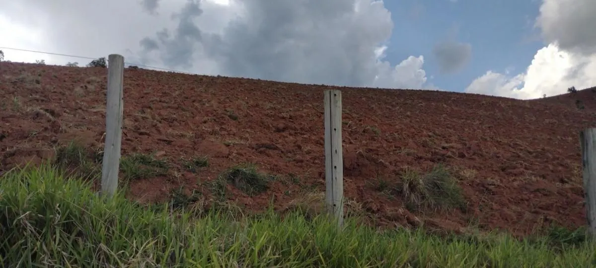Fazenda à venda de 100 ha em Roseira, SP, Brasil