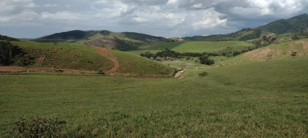 Fazenda à venda de 100 ha em Roseira, SP, Brasil