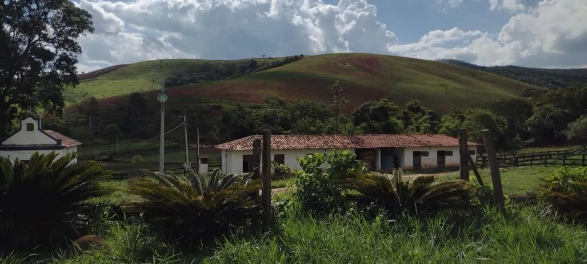 Fazenda à venda de 100 ha em Roseira, SP, Brasil