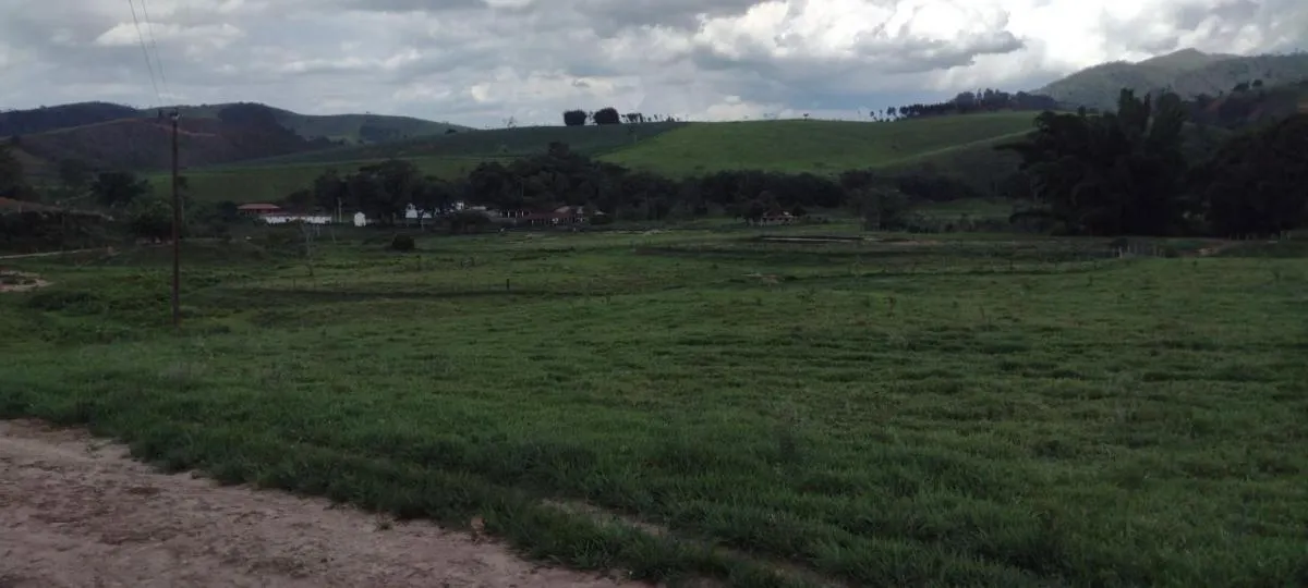 Fazenda à venda de 100 ha em Roseira, SP, Brasil