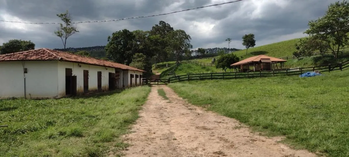 Fazenda à venda de 100 ha em Roseira, SP, Brasil