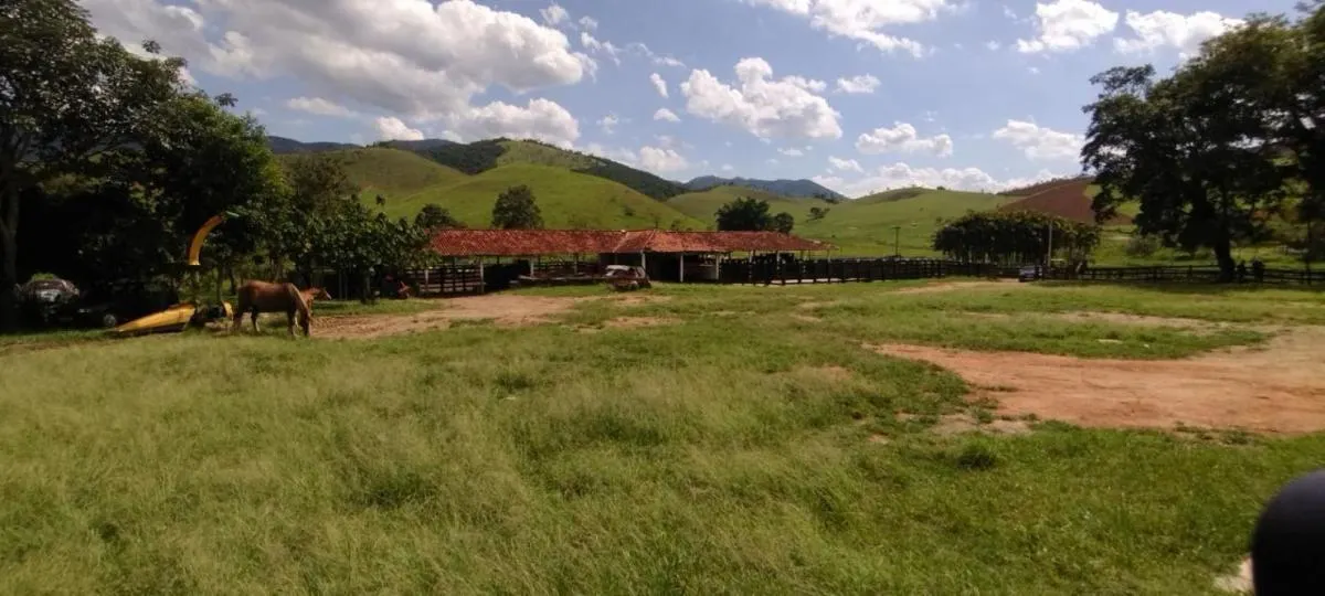 Fazenda à venda de 100 ha em Roseira, SP, Brasil