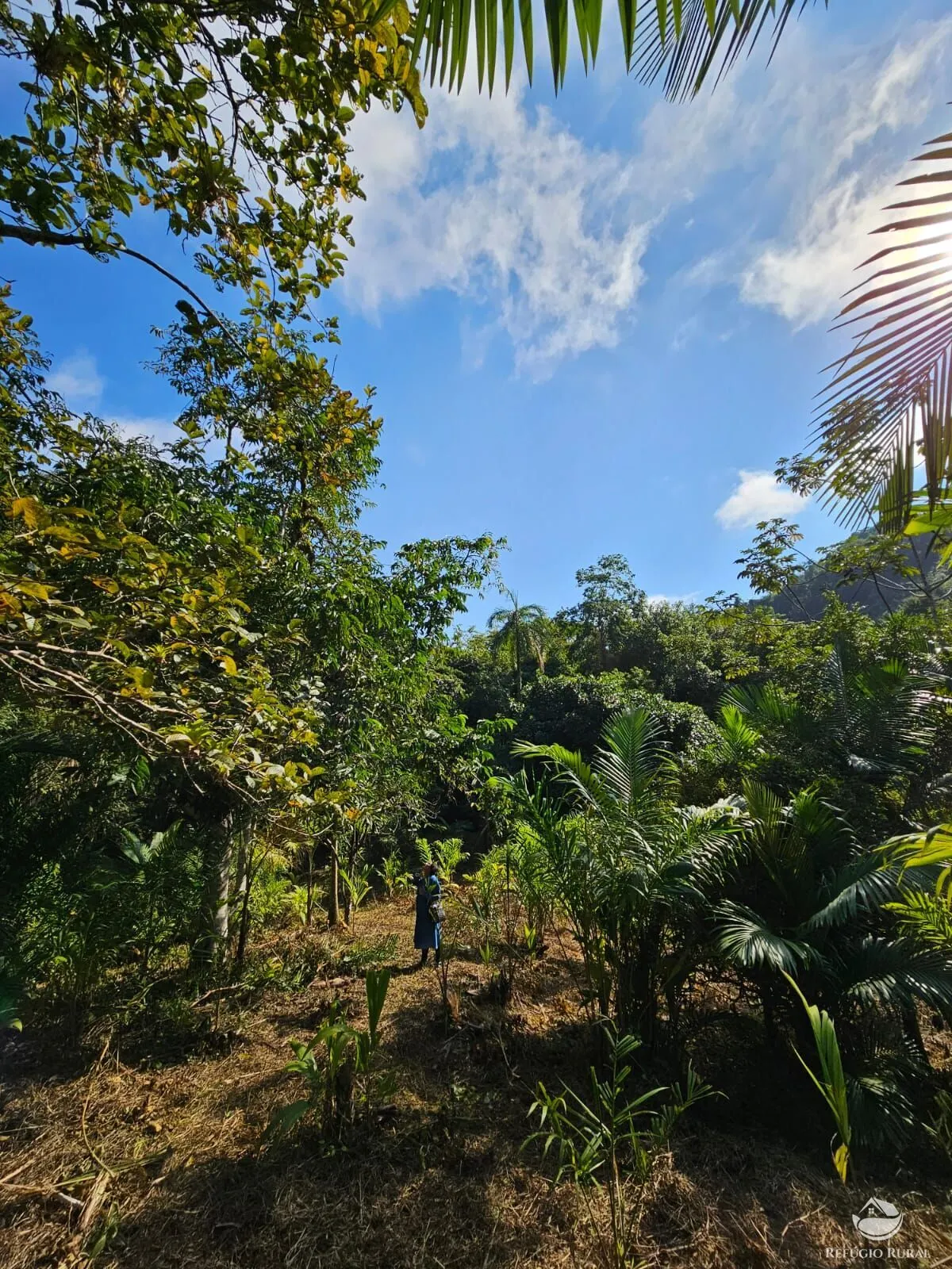 Sítio à venda de 4 ha em Iporanga, SP, Brasil