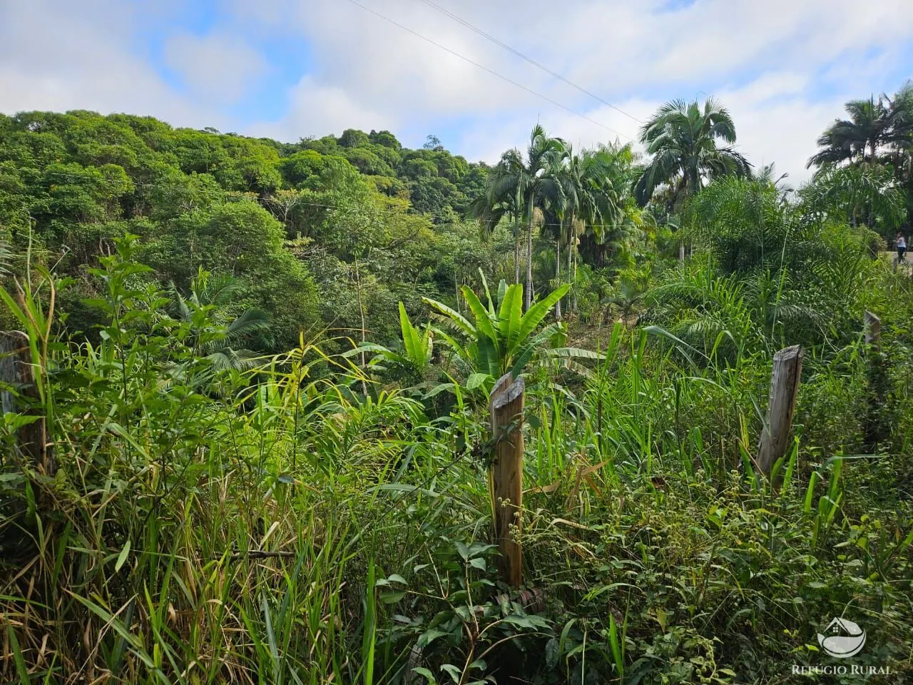 Sítio à venda de 4 ha em Iporanga, SP, Brasil