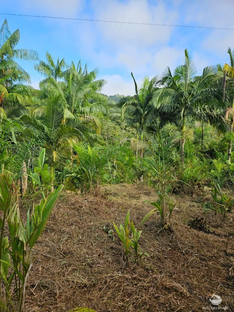Sítio à venda de 4 ha em Iporanga, SP, Brasil