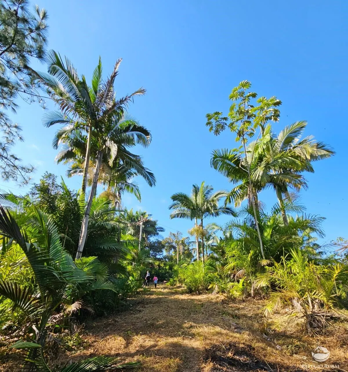 Sítio à venda de 4 ha em Iporanga, SP, Brasil
