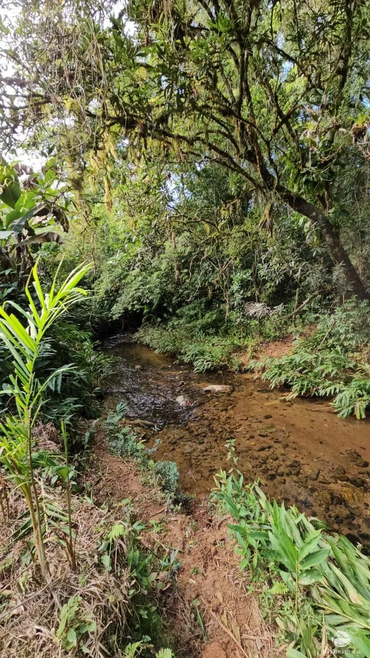 Sítio à venda de 4 ha em Iporanga, SP, Brasil