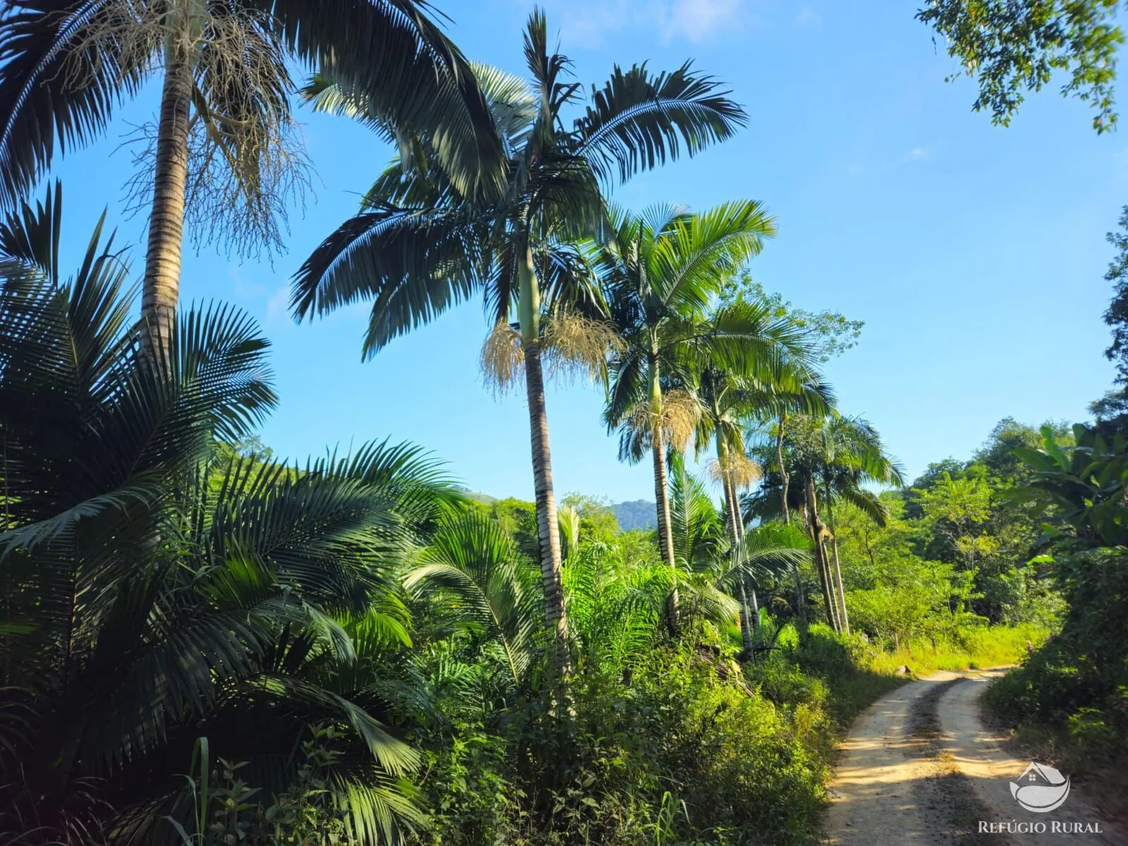 Sítio à venda de 4 ha em Iporanga, SP, Brasil