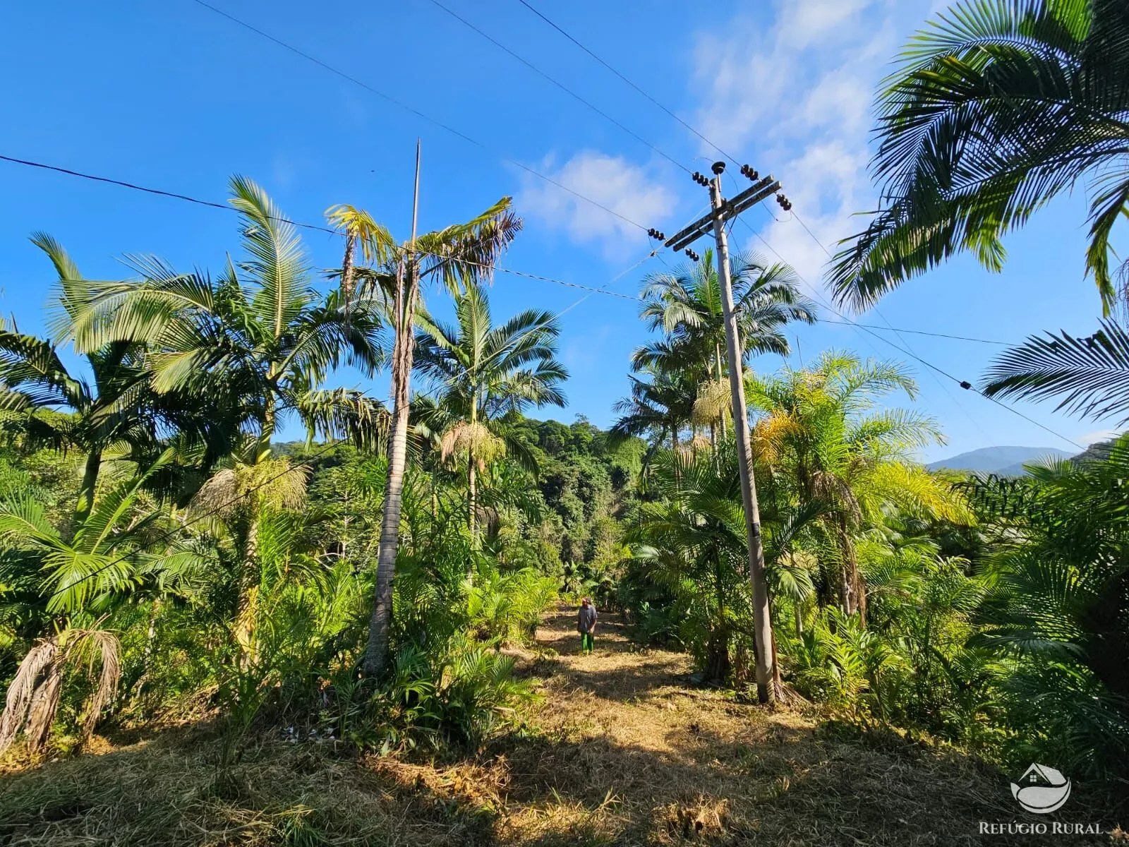 Sítio à venda de 4 ha em Iporanga, SP, Brasil