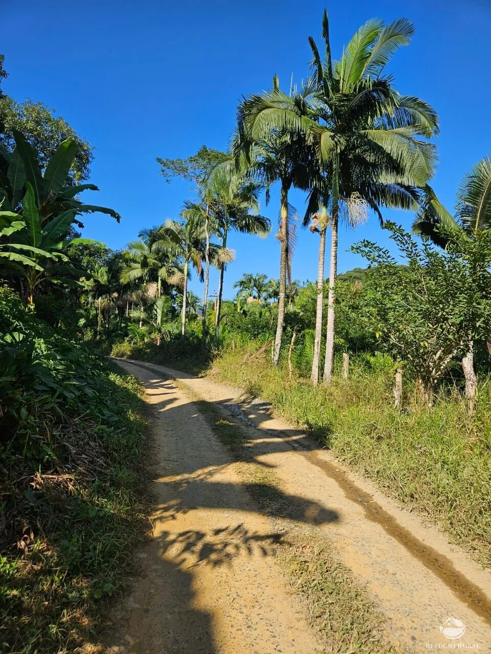 Sítio à venda de 4 ha em Iporanga, SP, Brasil