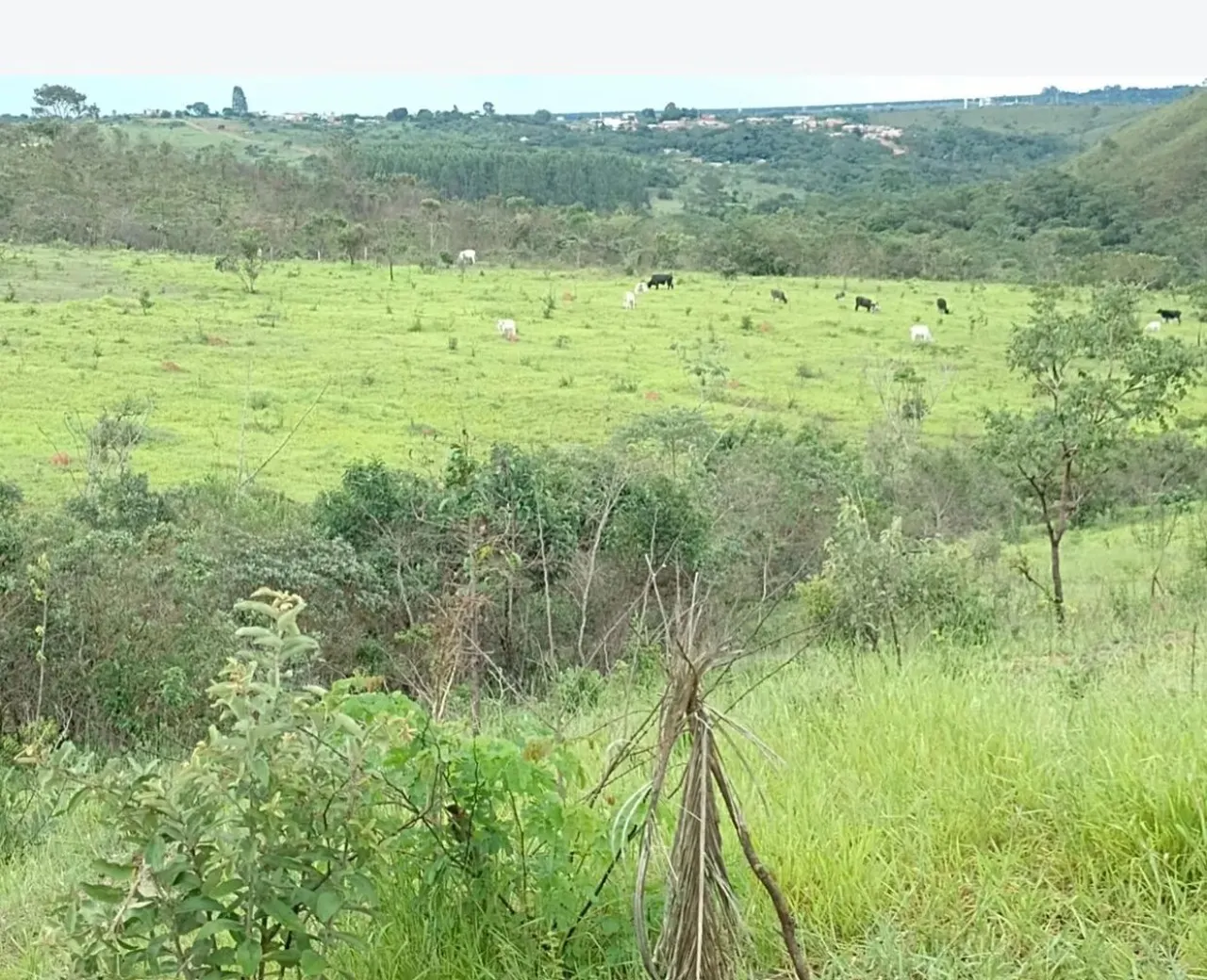 Fazenda à venda de 60 ha em Brasília, DF, Brasil