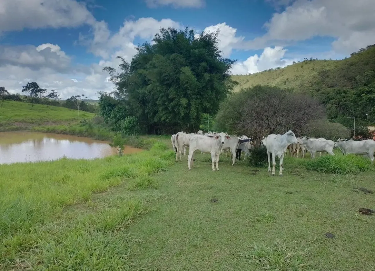 Fazenda à venda de 60 ha em Brasília, DF, Brasil