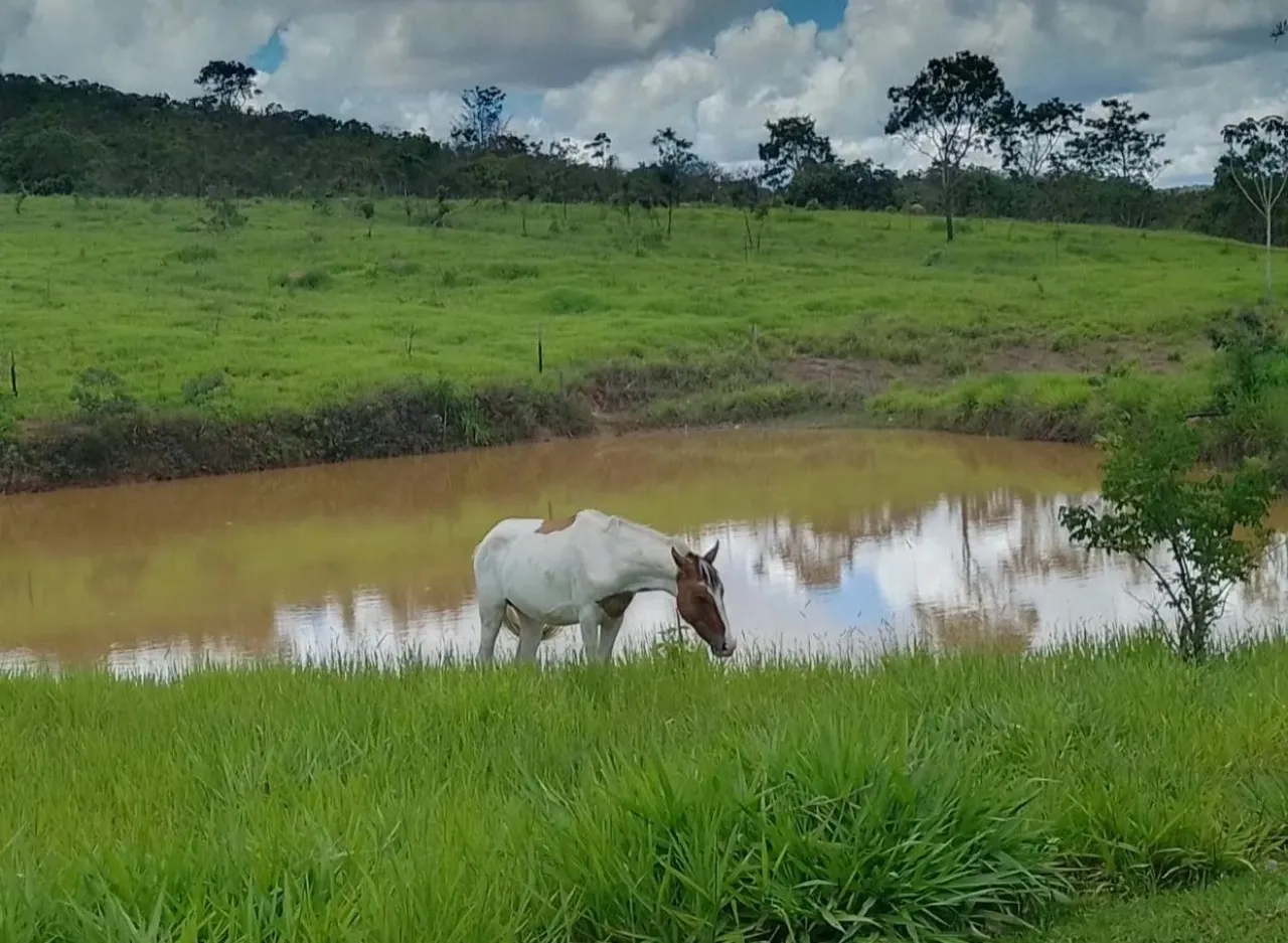 Fazenda à venda de 60 ha em Brasília, DF, Brasil