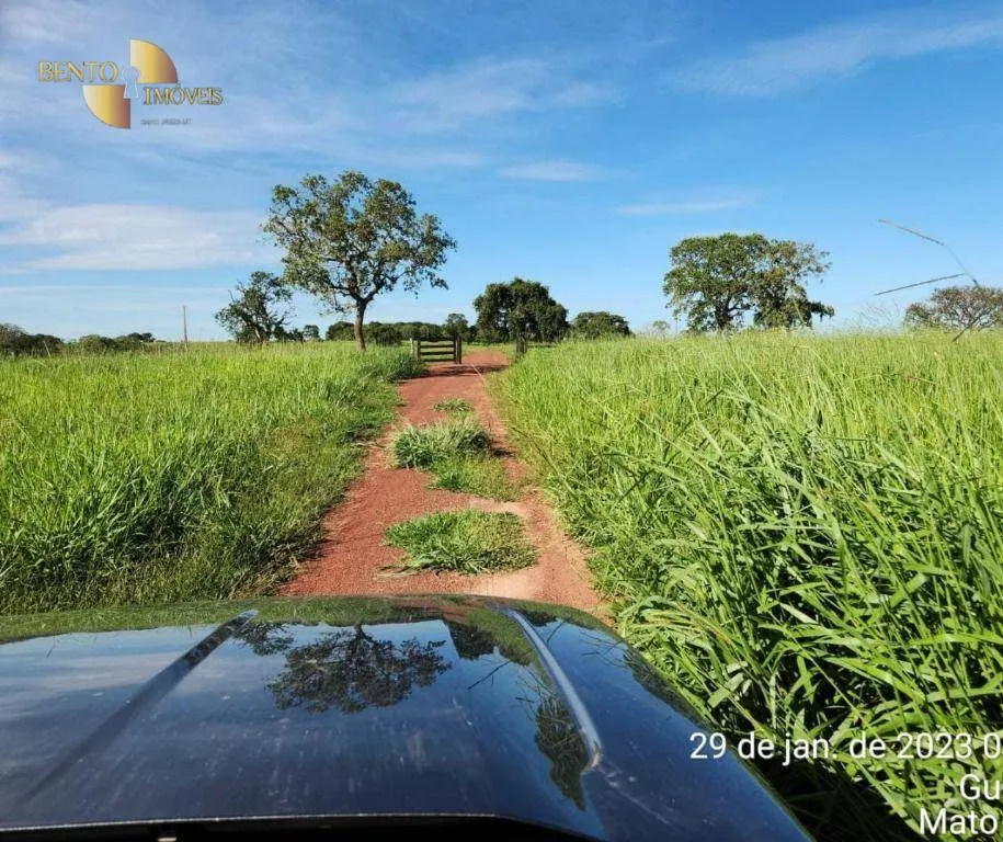 Farm for sale of 2,871 acres in Guiratinga, MT, Brazil