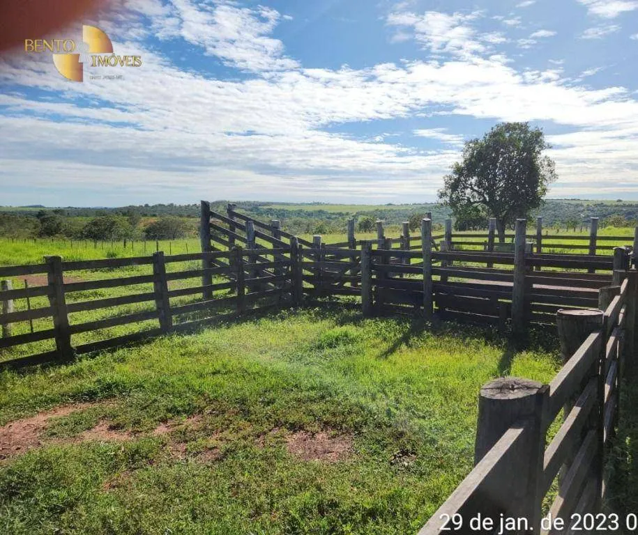 Farm for sale of 2,871 acres in Guiratinga, MT, Brazil