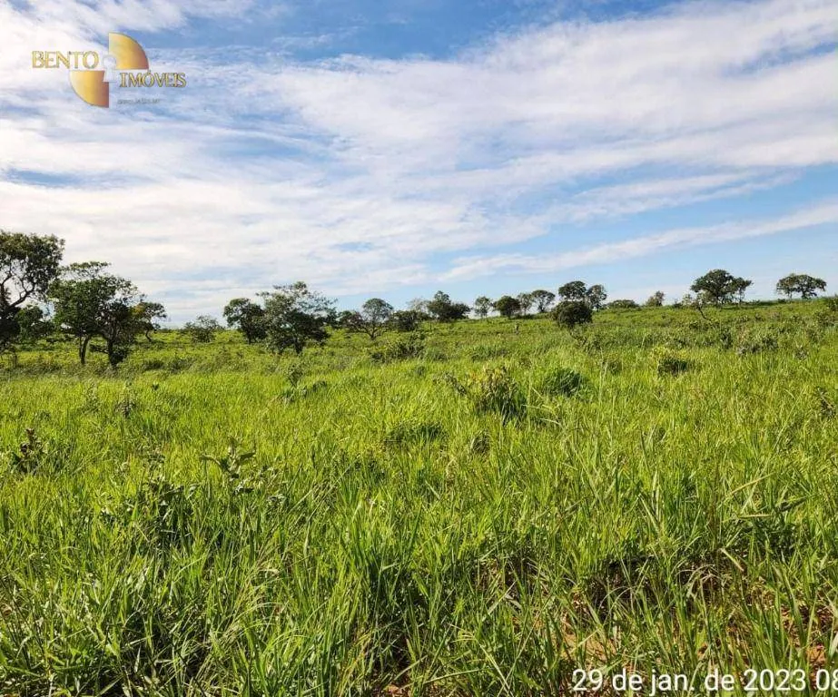 Farm for sale of 2,871 acres in Guiratinga, MT, Brazil
