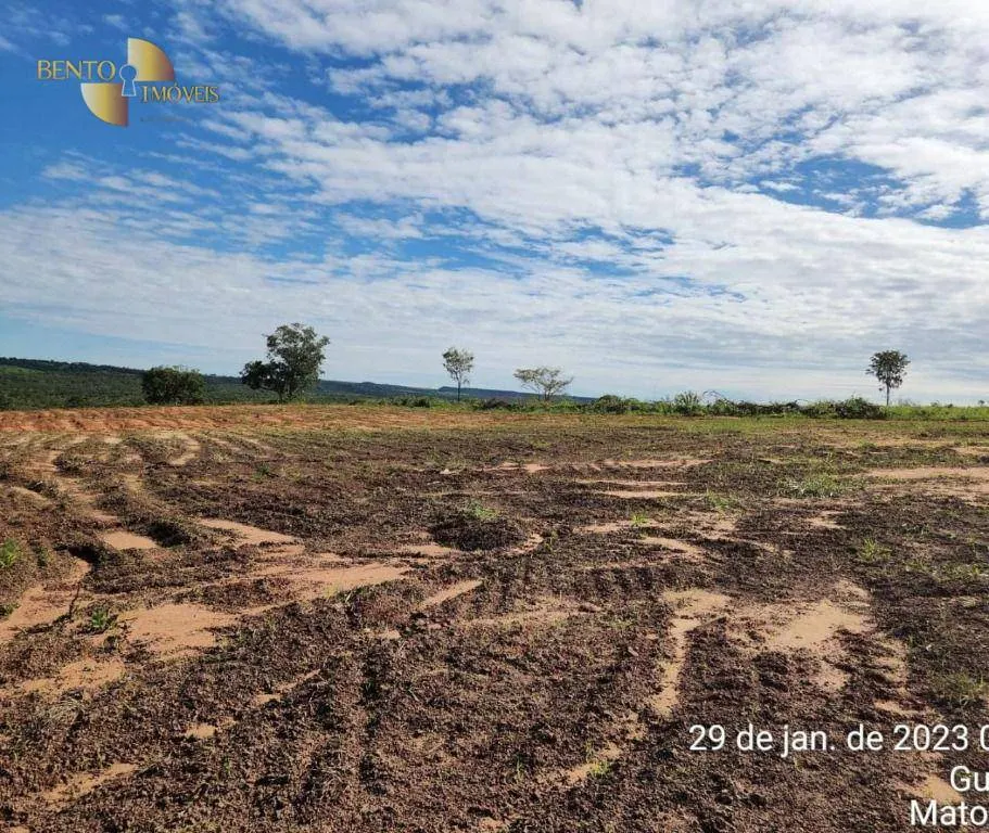 Farm for sale of 2,871 acres in Guiratinga, MT, Brazil