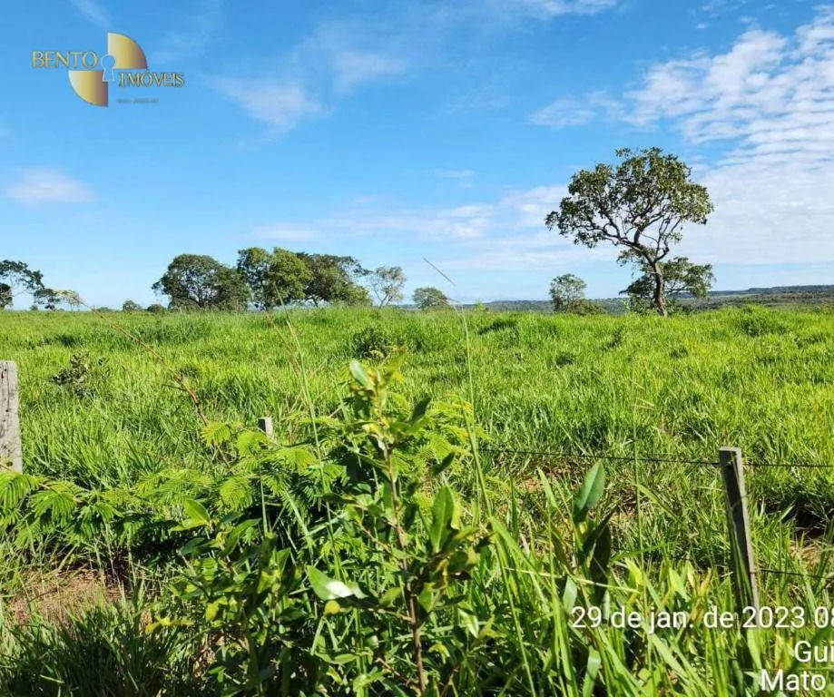 Farm for sale of 2,871 acres in Guiratinga, MT, Brazil