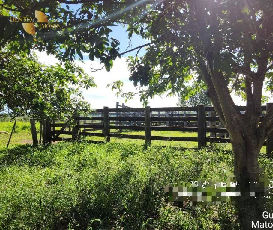 Farm for sale of 2,871 acres in Guiratinga, MT, Brazil