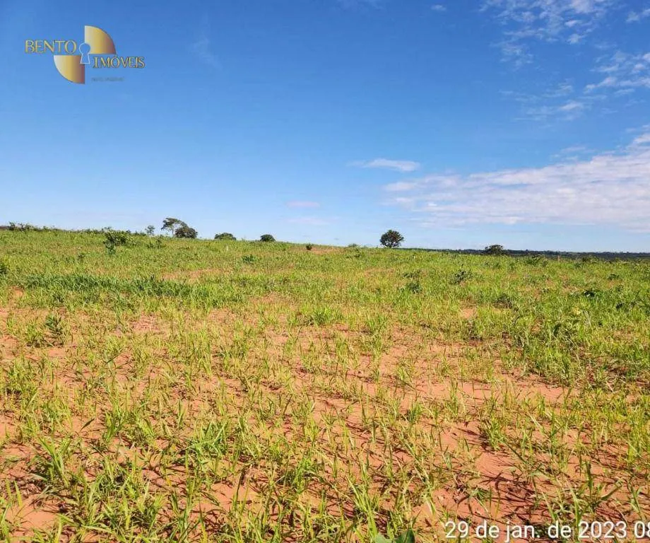 Farm for sale of 2,871 acres in Guiratinga, MT, Brazil