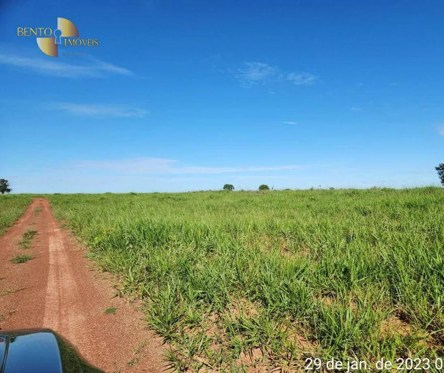 Farm for sale of 2,871 acres in Guiratinga, MT, Brazil