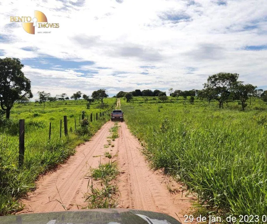 Farm for sale of 2,871 acres in Guiratinga, MT, Brazil