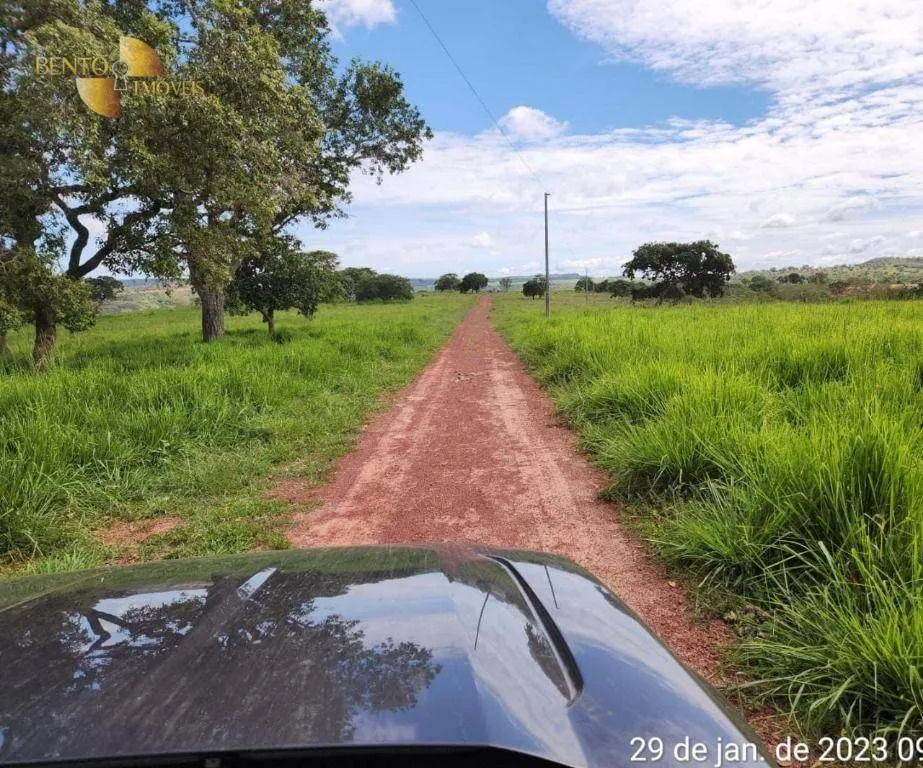 Farm for sale of 2,871 acres in Guiratinga, MT, Brazil