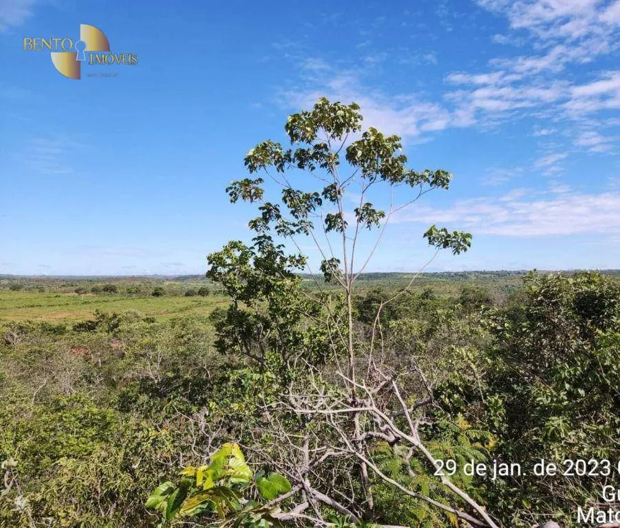 Farm for sale of 2,871 acres in Guiratinga, MT, Brazil