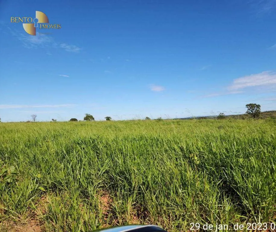 Farm for sale of 2,871 acres in Guiratinga, MT, Brazil