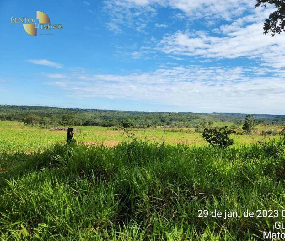 Farm for sale of 2,871 acres in Guiratinga, MT, Brazil