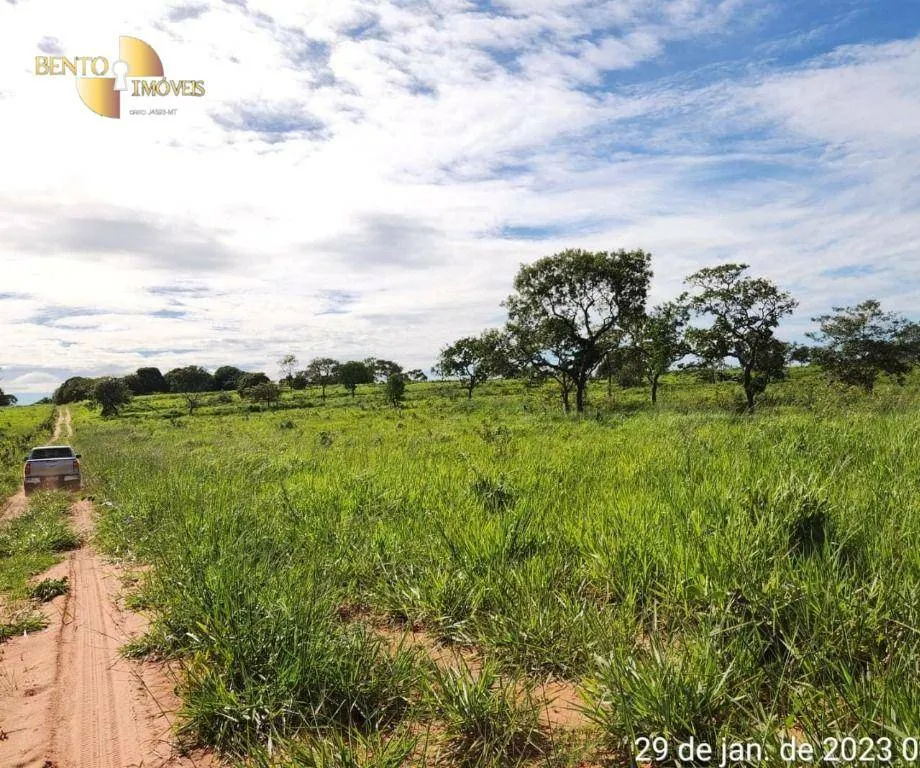 Farm for sale of 2,871 acres in Guiratinga, MT, Brazil