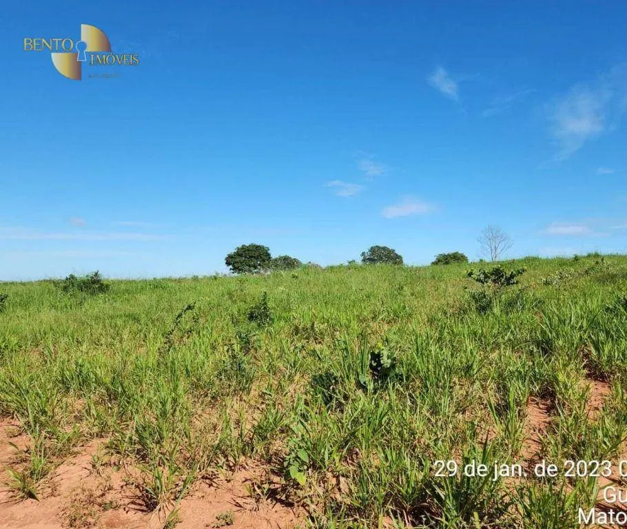 Farm for sale of 2,871 acres in Guiratinga, MT, Brazil