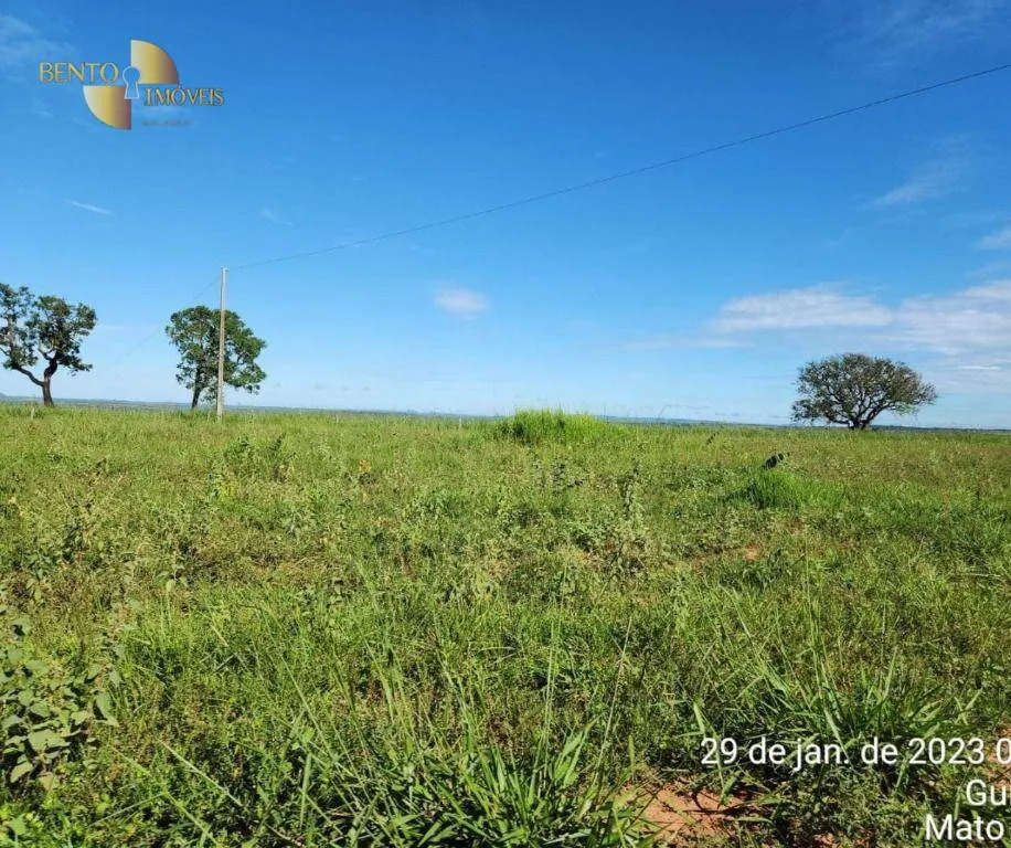 Farm for sale of 2,871 acres in Guiratinga, MT, Brazil