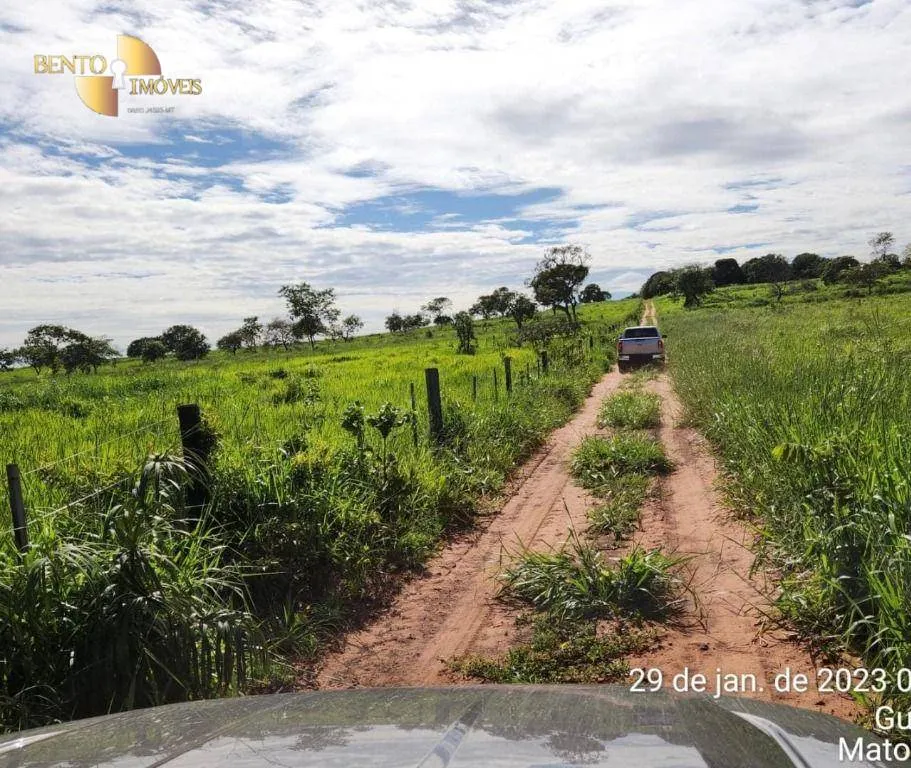 Farm for sale of 2,871 acres in Guiratinga, MT, Brazil