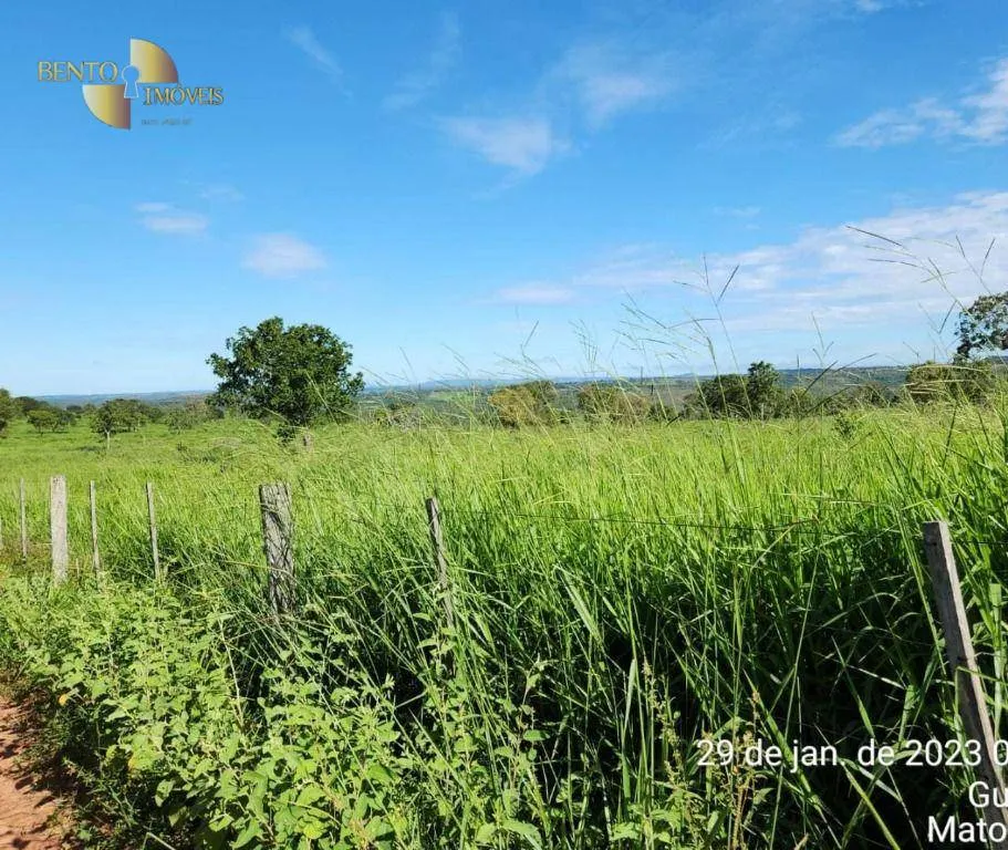 Farm for sale of 2,871 acres in Guiratinga, MT, Brazil