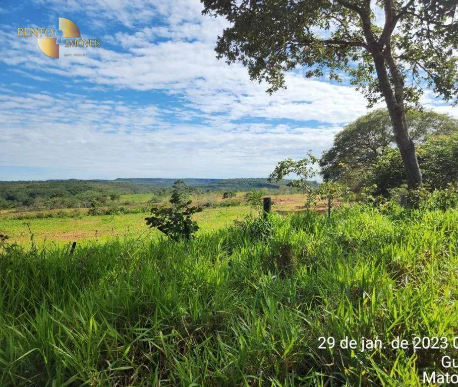Fazenda à venda de 1.162 ha em Guiratinga, MT, Brasil