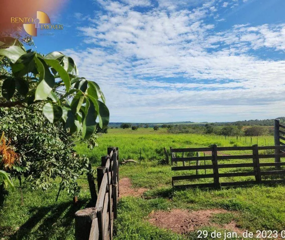 Farm for sale of 2,871 acres in Guiratinga, MT, Brazil