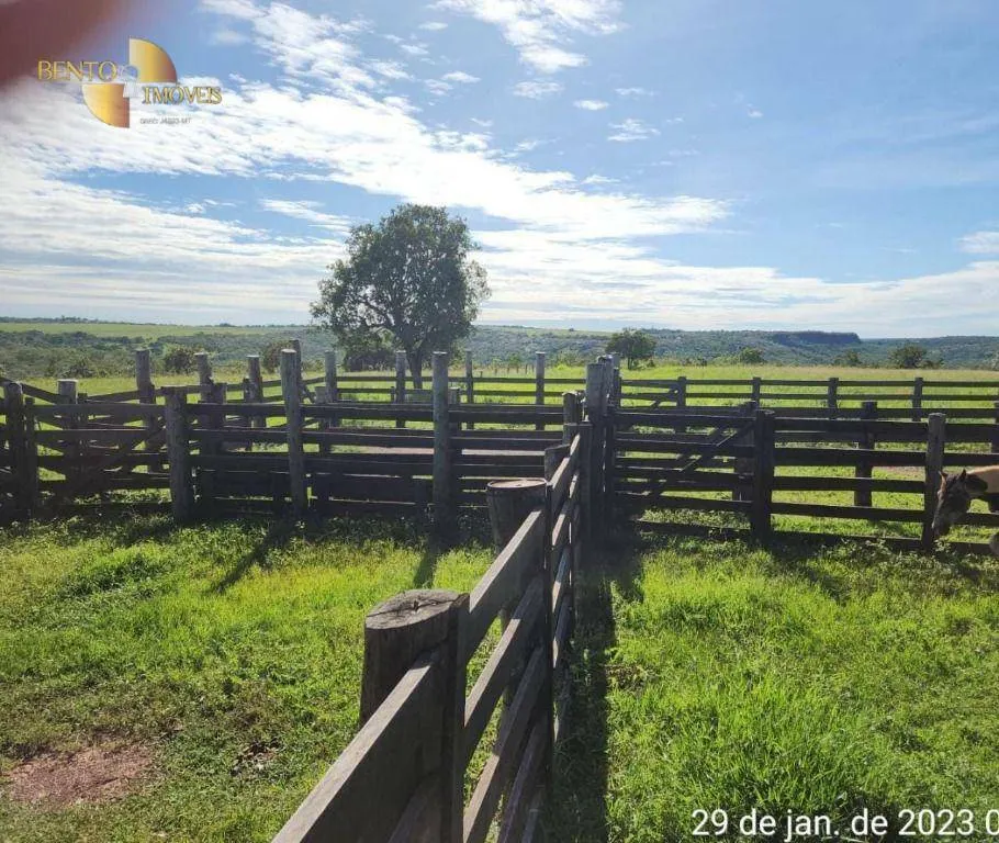 Farm for sale of 2,871 acres in Guiratinga, MT, Brazil