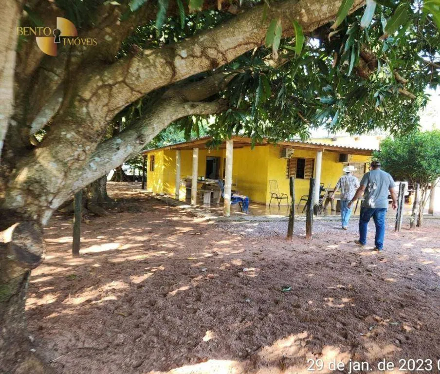 Farm for sale of 2,871 acres in Guiratinga, MT, Brazil