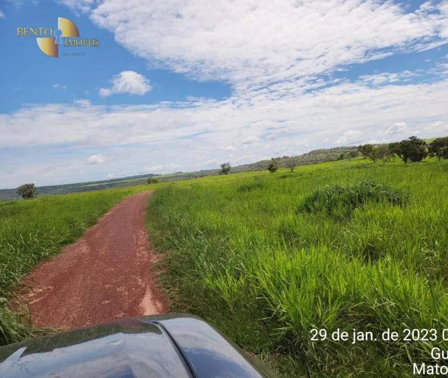 Farm for sale of 2,871 acres in Guiratinga, MT, Brazil