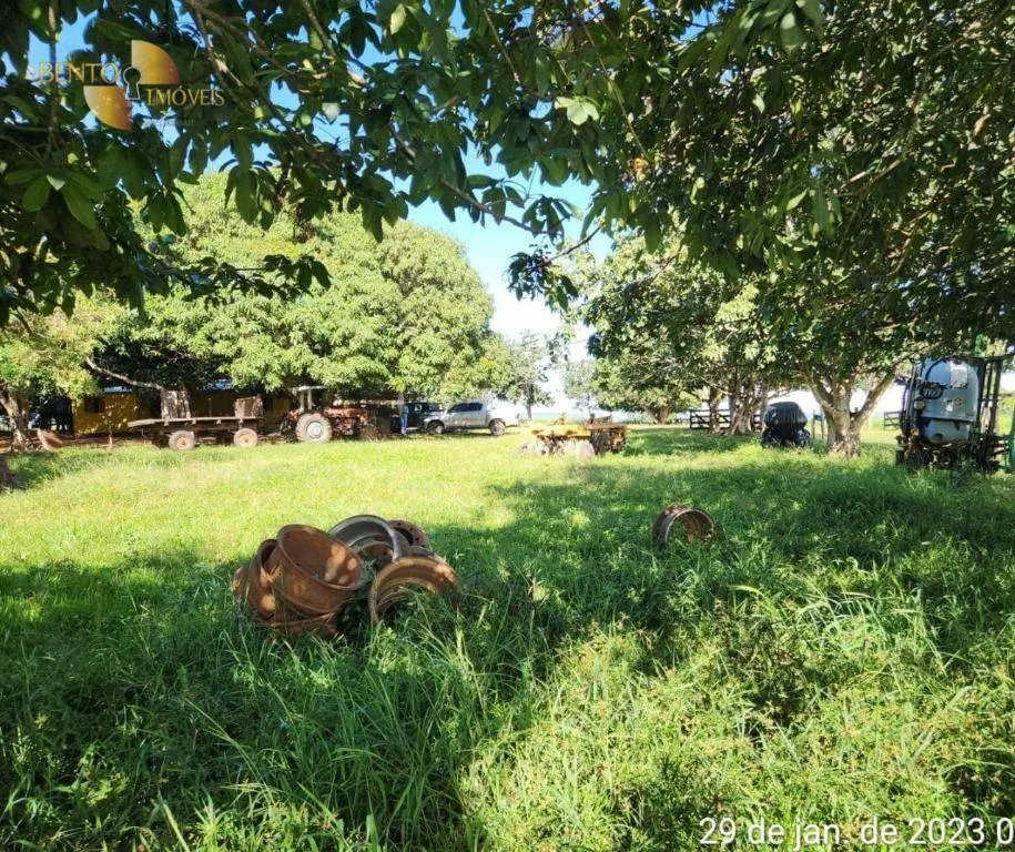 Farm for sale of 2,871 acres in Guiratinga, MT, Brazil