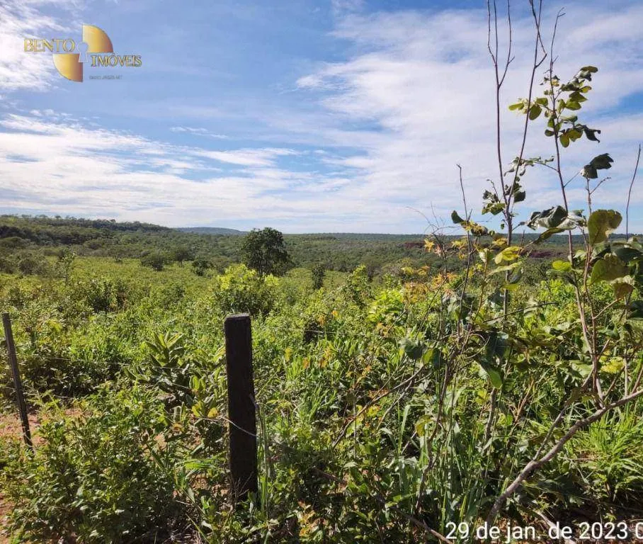 Farm for sale of 2,871 acres in Guiratinga, MT, Brazil
