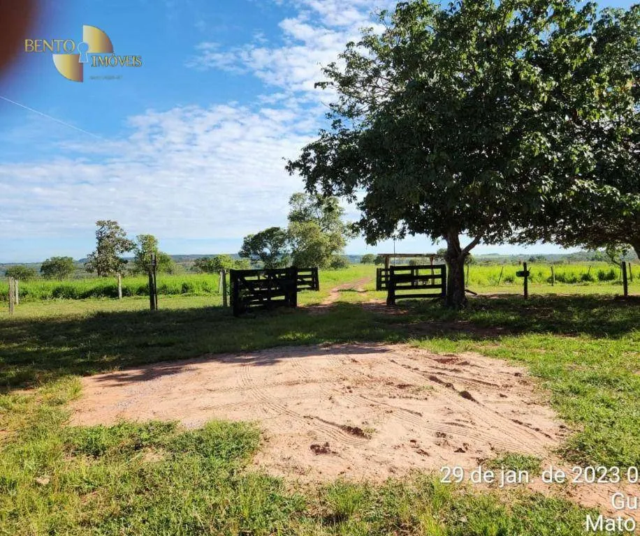 Farm for sale of 2,871 acres in Guiratinga, MT, Brazil
