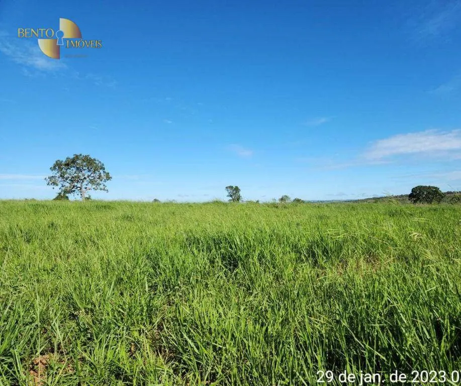 Farm for sale of 2,871 acres in Guiratinga, MT, Brazil