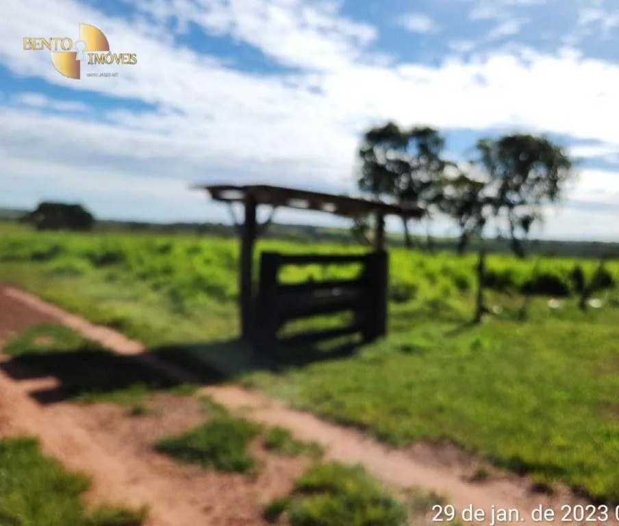 Farm for sale of 2,871 acres in Guiratinga, MT, Brazil