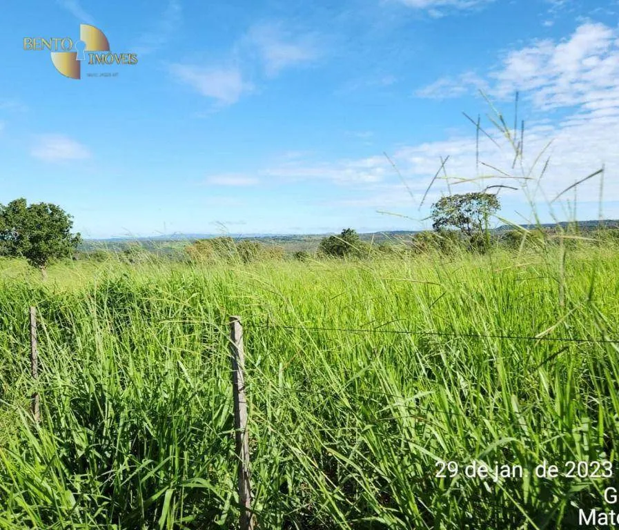 Farm for sale of 2,871 acres in Guiratinga, MT, Brazil